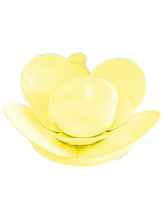 Load image into Gallery viewer, Igbá (Assentamento) Completo de Loiça