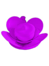 Load image into Gallery viewer, Igbá (Assentamento) Completo de Loiça