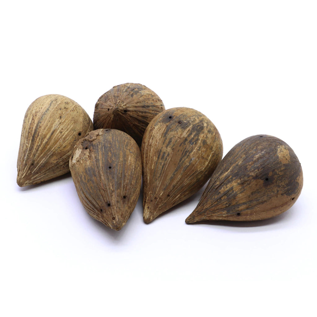 Fava Ifá (unidade)